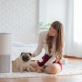 Top Reasons Why 20x22x1 Air Filters Are Perfect for Home Air Purifiers