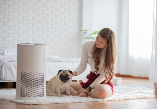 Top Reasons Why 20x22x1 Air Filters Are Perfect for Home Air Purifiers